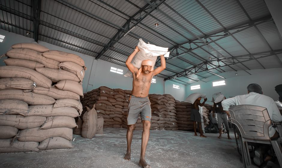 White Maize Meal — 12.5kg